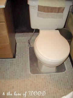 amazing mobile home tips-toilet