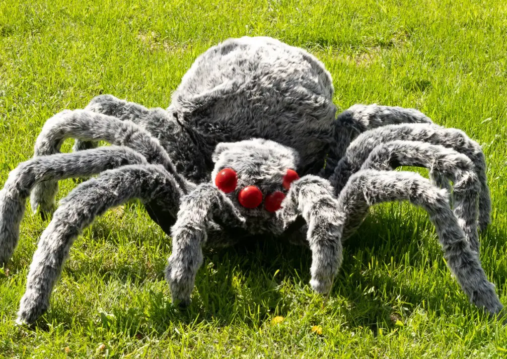 diy halloween decor giant spider