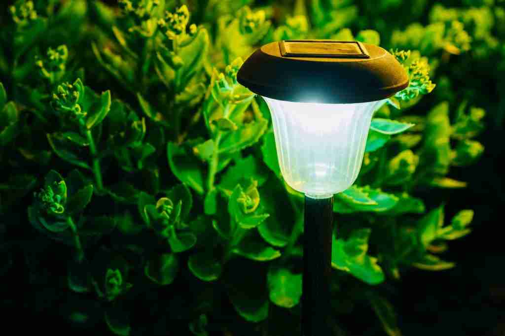 Small solar garden light, lantern in flower bed. Garden design.