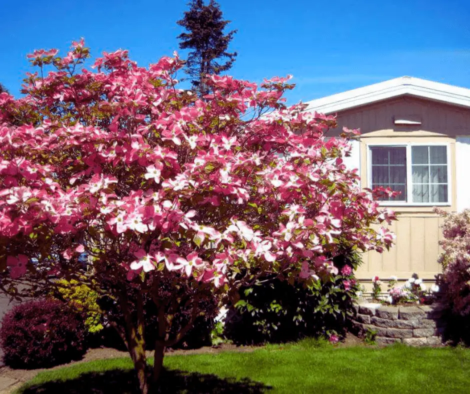 Make spring cleaning your mobile home a breeze with these 10 tips