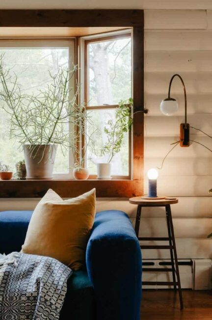 A living room with a blue couch and potted plants