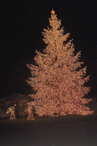 Lighted christmas tree in yard of a manufactured home
