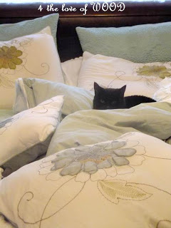 amazing mobile home tips-bed