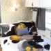 camper renovation - after - bedroom