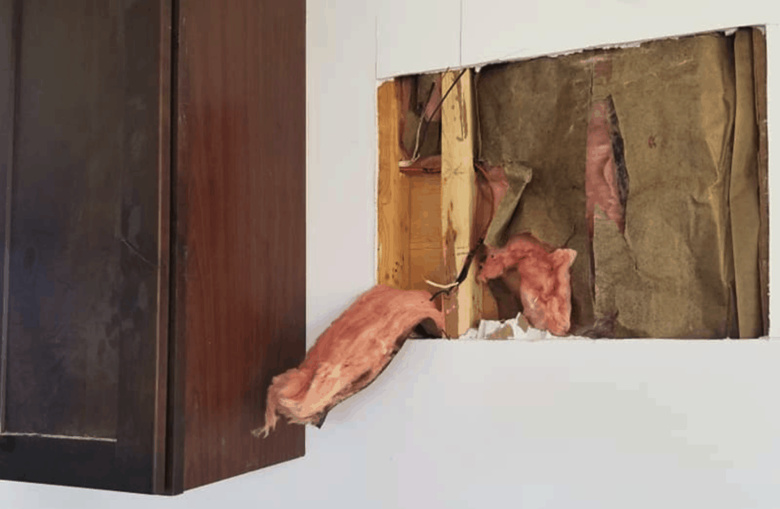 Cut-hole-in-wall-of-manufdactured-home-Laurie-Beadle-FBG