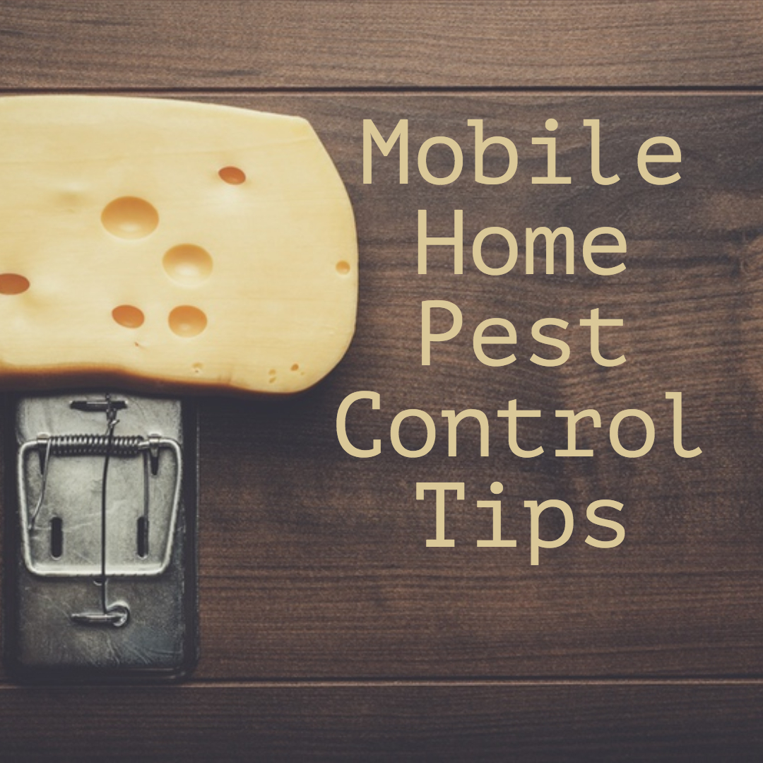Mobile Home Pest Control Tips