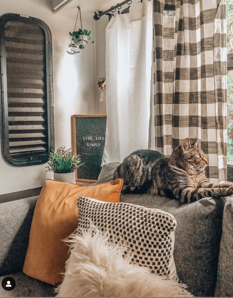 Screen Shot 2019 11 07 At 8 22 24 P M