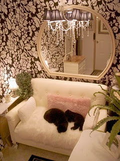 amazing mobile home-sitting area