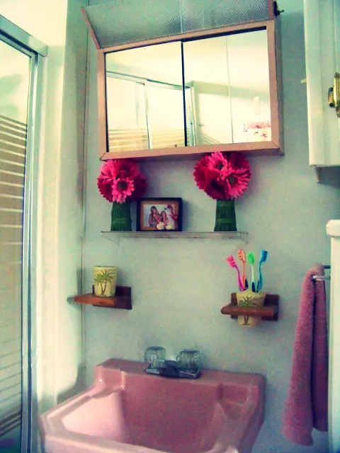 Original pink sink in vintage mobile home called the pink flamingo