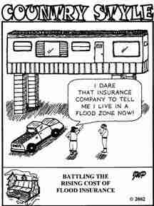 Mobile home funnies-cartoon