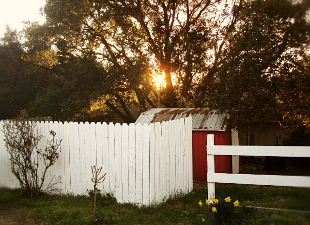 divine double wide-lawn