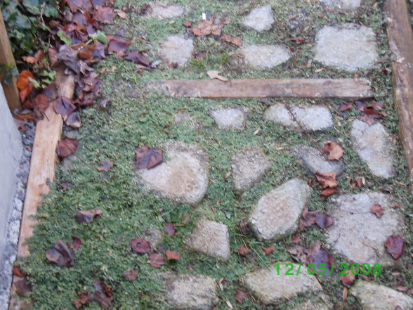 country double wide 16