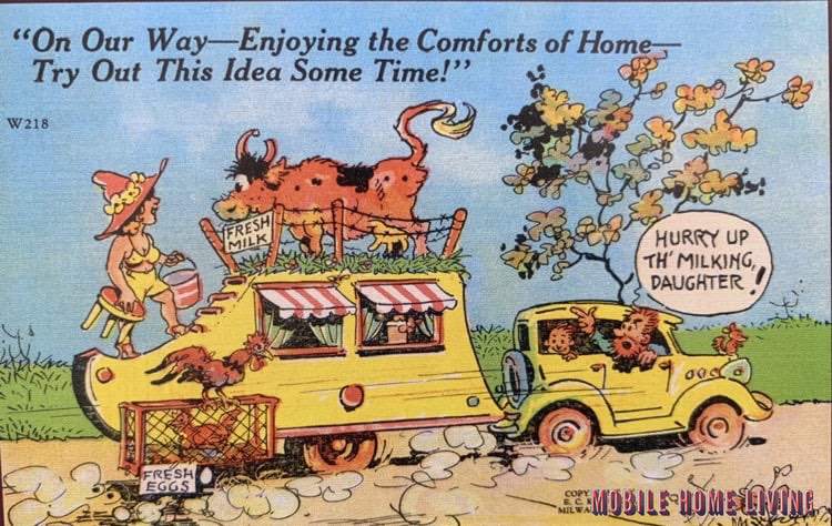 Cow On Trailer Roof Postcard 2