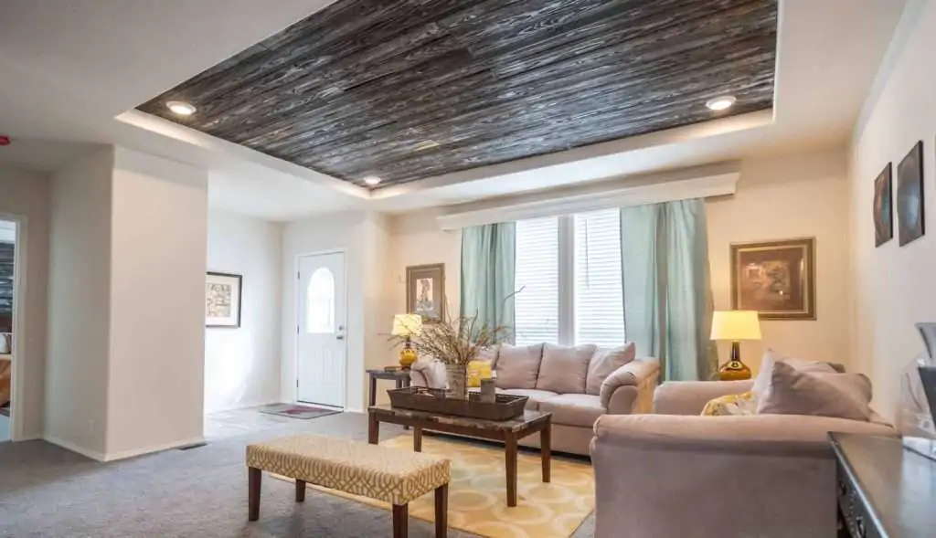 custom luxury features trey ceilings