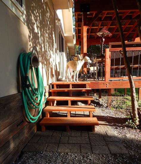 double wide home improvements-double wide deck 2