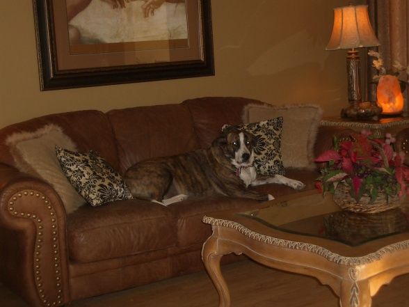 extreme manufactured home remodel living room 2