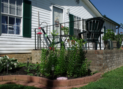 Homesteading with a manufactured home