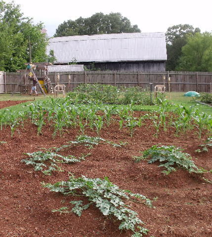 Homesteading with a manufactured home