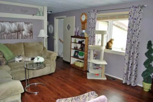 hot paint colors for your manufactured home-lavender