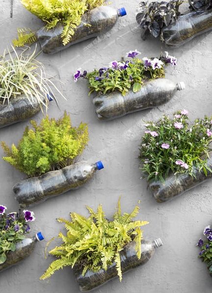 indoor gardening in a manufactured home