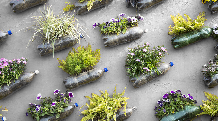 indoor gardening in a manufactured home