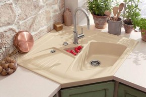 kitchen design with corner sink