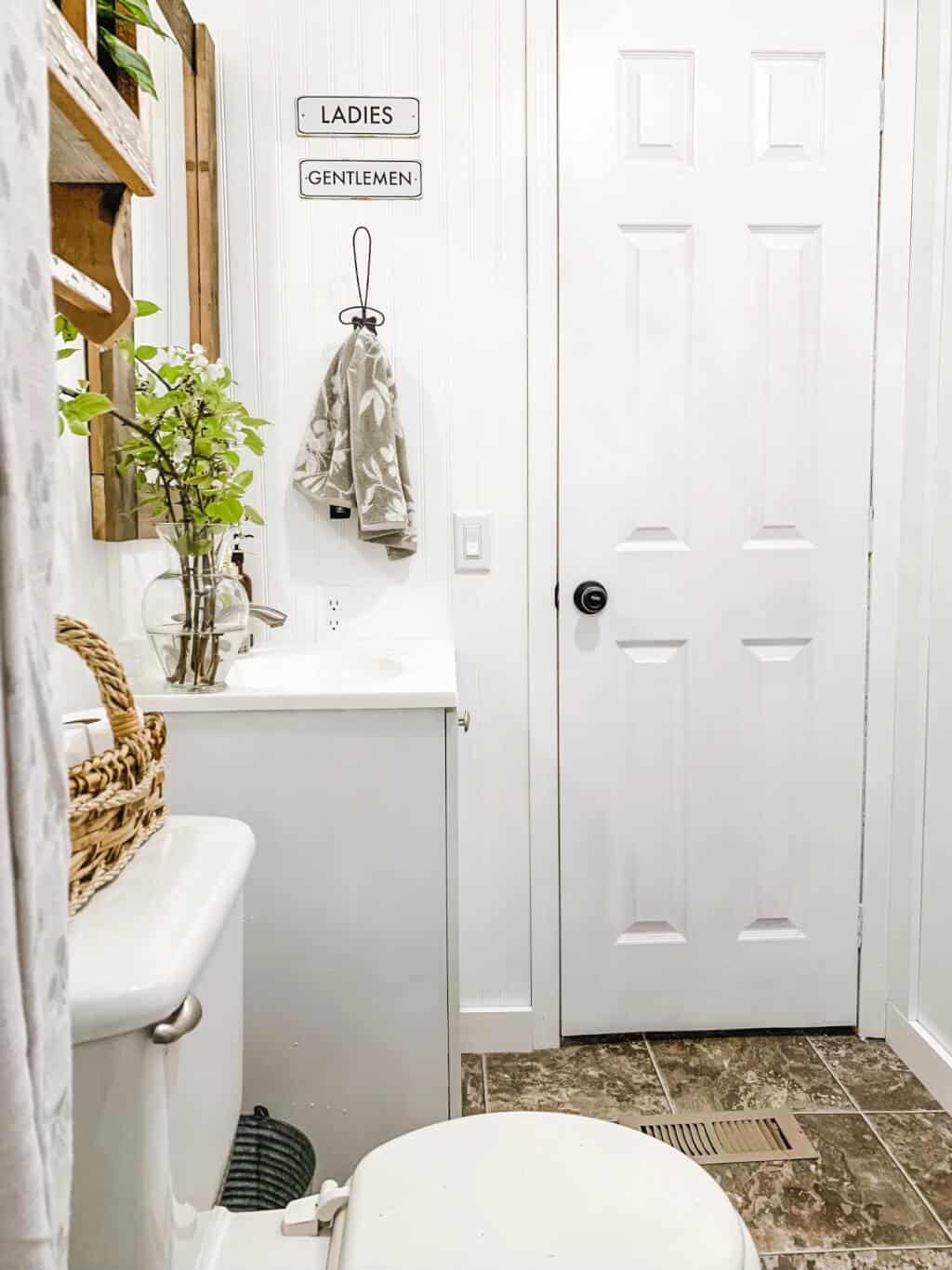 Left Door View for mobile home bathroom makeover