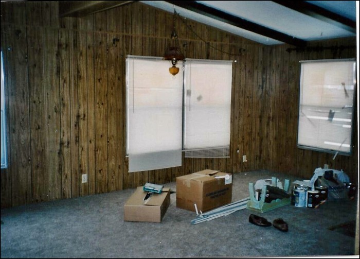 Double Wide Makeover Ideas - Living Room double wide makeover ideas - living room before