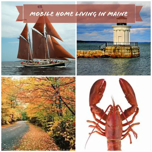 buying a mobile home in Maine