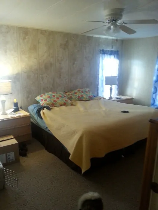 Master Bedroom Before Remodel