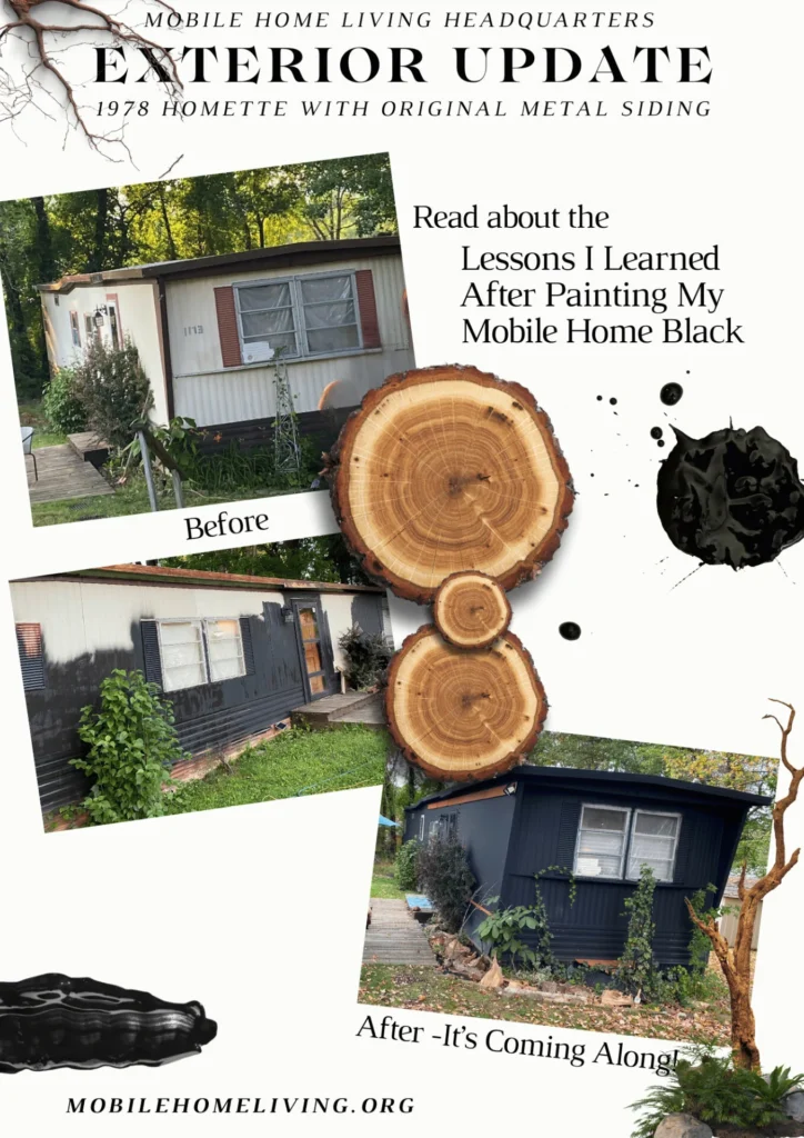 painting a mobile home black
