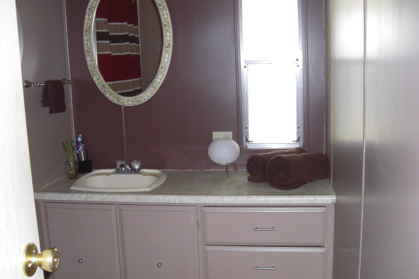 single wide makeover-small bath after