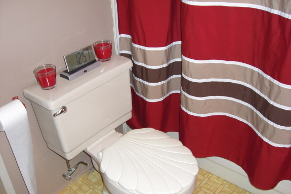 single wide makeover-red bathroom