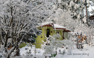 winter2Bhouse